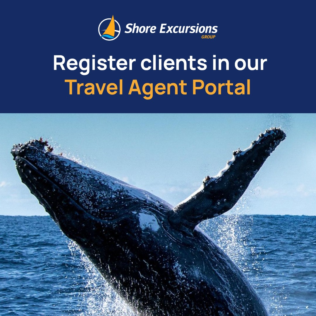 Shore Excursions Group — split panel
